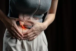 Lap (Appendix)